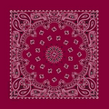 Domestic Burgundy Red Paisley Bandanna